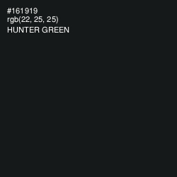 #161919 - Hunter Green Color Image
